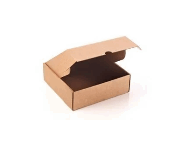 CAJA GASTRONOMICA 29X29X11 50 UN